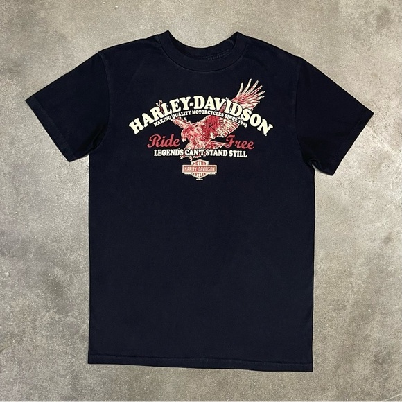 Harley-Davidson Other - Vintage Harley Davidson Graphic 2010 Biker Grunge T-shirt